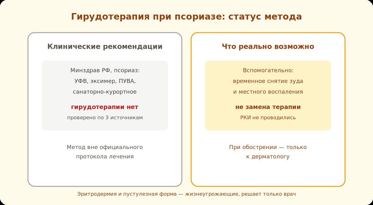Статус гирудотерапии при псориазе: вне официальных клинических рекомендаций, вспомогательный метод