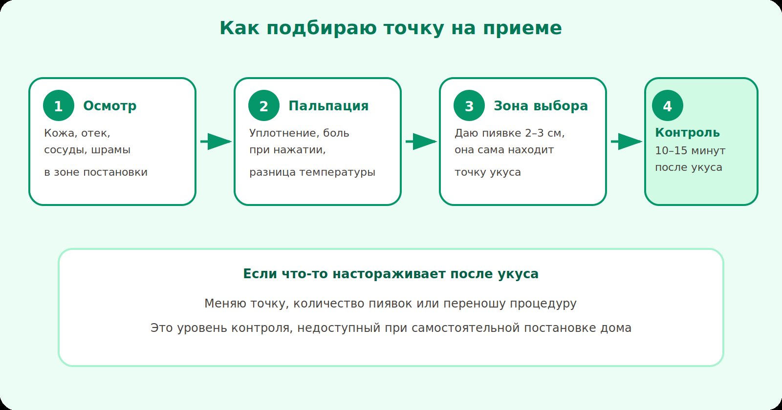 Как подбираю точку на приеме: осмотр, пальпация, зона выбора для пиявки, контроль реакции