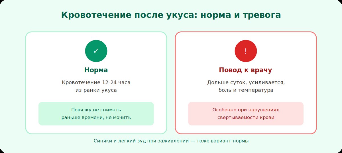 Норма и тревожный признак кровотечения после укуса пиявки: 12-24 часа это норма, дольше суток с болью — повод к врачу