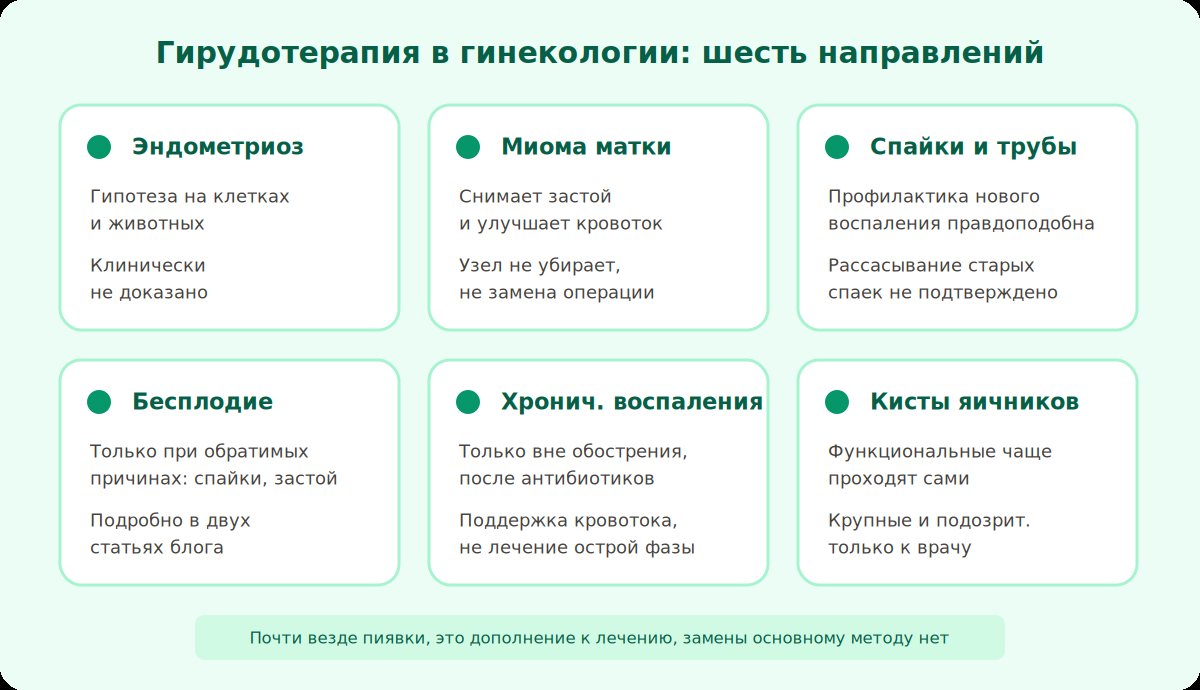 Обзорная схема: гирудотерапия в гинекологии и шесть направлений, где ее рассматривают