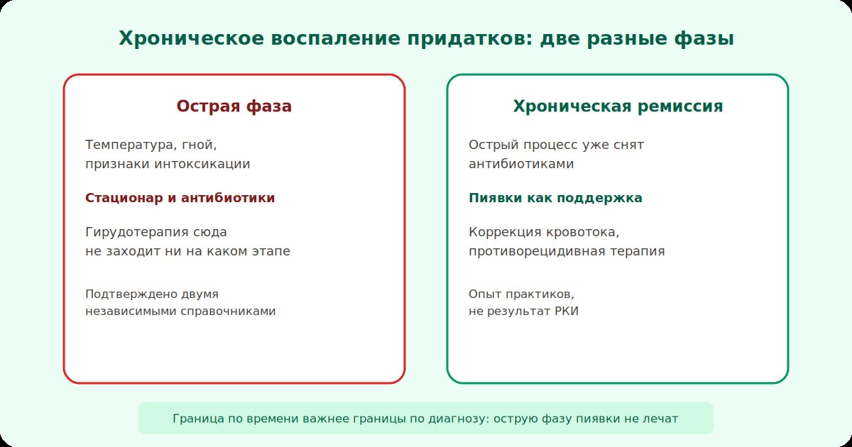 Острая и хроническая фаза воспаления придатков: где место антибиотиков и стационара, а где место пиявок как поддержки